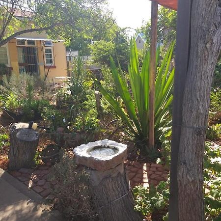 Tranquility In Klein Karoo Apartman Oudtshoorn Kültér fotó